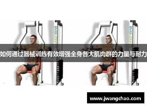 如何通过器械训练有效增强全身各大肌肉群的力量与耐力