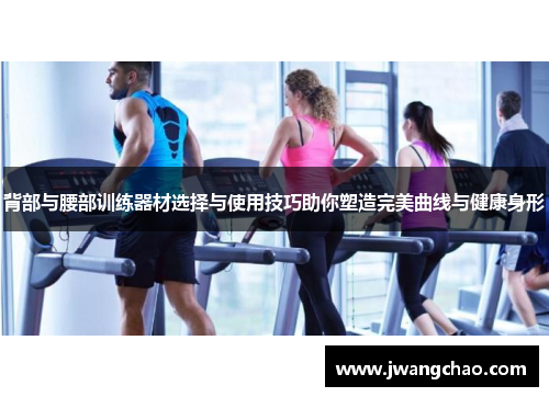 背部与腰部训练器材选择与使用技巧助你塑造完美曲线与健康身形